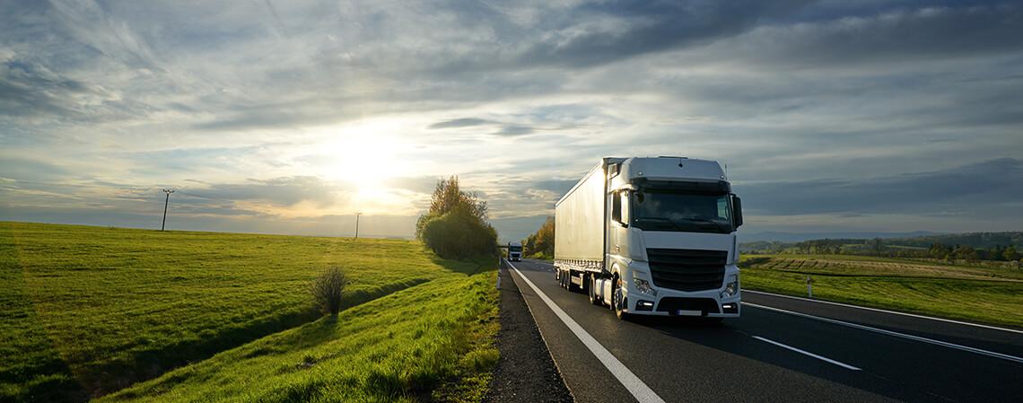 ekaer control of Goods in Hungary