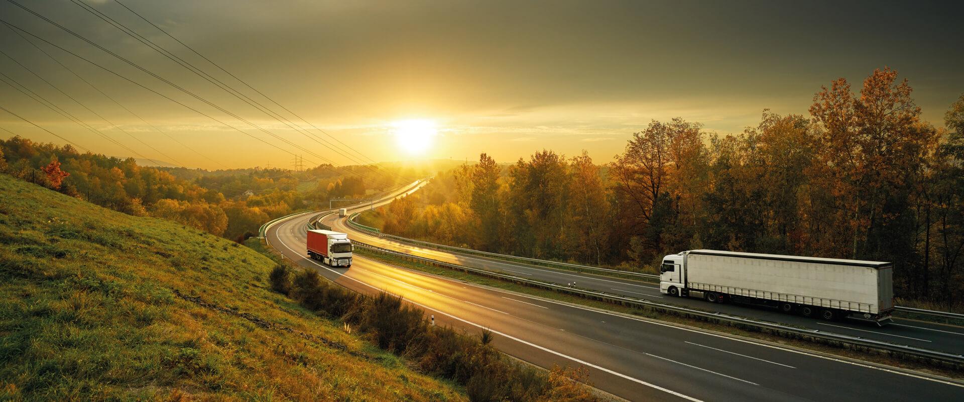 serbia e-Delivery Notes