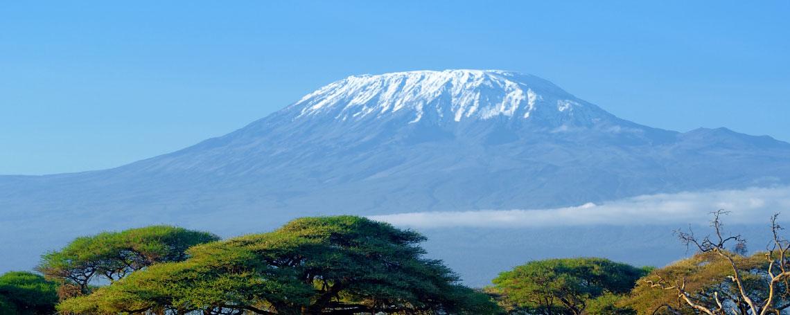 Electronic Invoice Tanzania