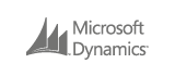 Microsoft Dynamics api